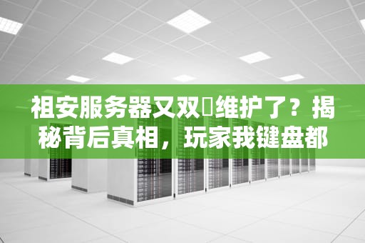 祖安服务器又双叒维护了？揭秘背后真相，玩家我键盘都准备好了！