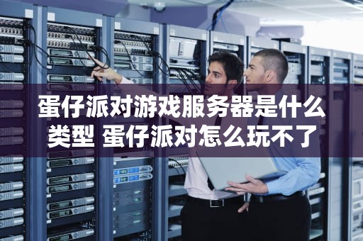 蛋仔派对游戏服务器是什么类型 蛋仔派对怎么玩不了