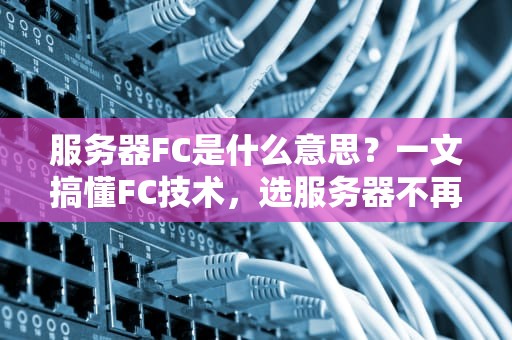 服务器FC是什么意思？一文搞懂FC技术，选服务器不再懵逼！