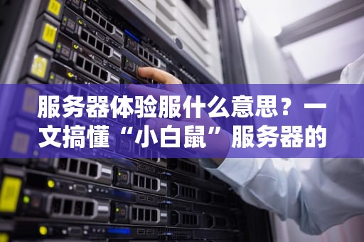 服务器体验服什么意思？一文搞懂“小白鼠”服务器的快乐与风险！