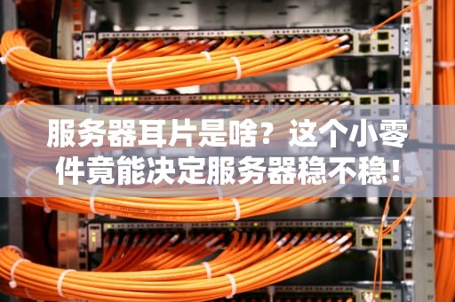服务器耳片是啥？这个小零件竟能决定服务器稳不稳！
