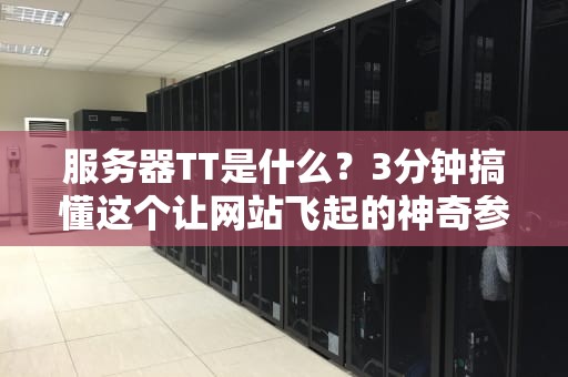 服务器TT是什么？3分钟搞懂这个让网站飞起的神奇参数！