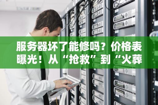 服务器坏了能修吗？价格表曝光！从“抢救”到“火葬”全流程指南