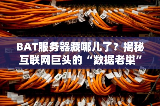 BAT服务器藏哪儿了？揭秘互联网巨头的“数据老巢”选址玄学！