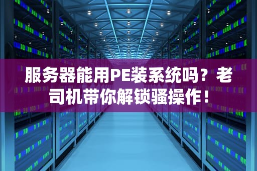 服务器能用PE装系统吗？老司机带你解锁骚操作！