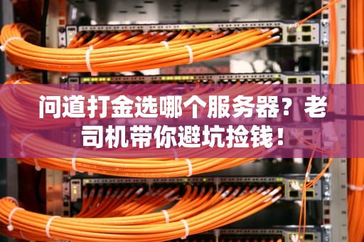 问道打金选哪个服务器？老司机带你避坑捡钱！