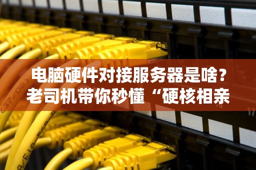 电脑硬件对接服务器是啥？老司机带你秒懂“硬核相亲”现场！