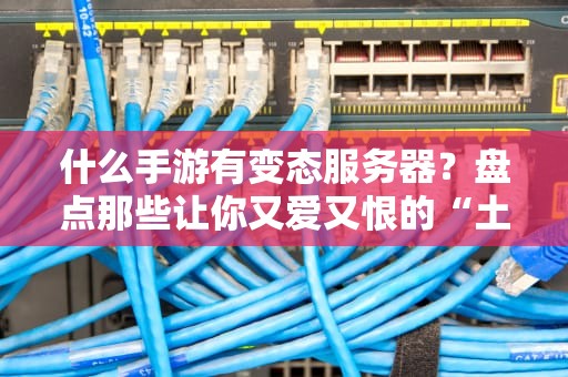 什么手游有变态服务器？盘点那些让你又爱又恨的“土豆服务器”大作！