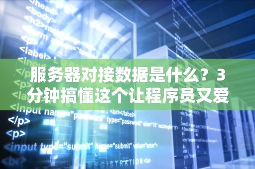 服务器对接数据是什么？3分钟搞懂这个让程序员又爱又恨的红娘！
