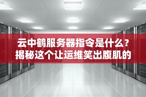 云中鹤服务器指令是什么？揭秘这个让运维笑出腹肌的“暗号”