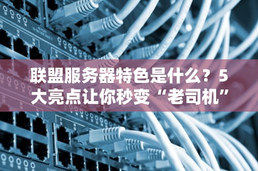 联盟服务器特色是什么？5大亮点让你秒变“老司机”