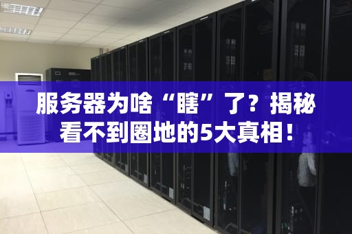 服务器为啥“瞎”了？揭秘看不到圈地的5大真相！