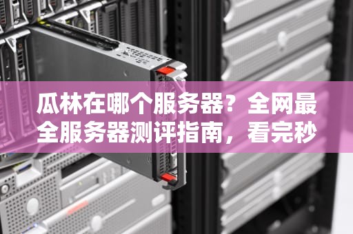 瓜林在哪个服务器？全网最全服务器测评指南，看完秒变老司机！