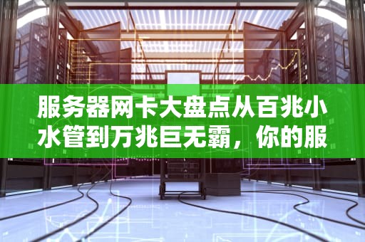 服务器网卡大盘点从百兆小水管到万兆巨无霸，你的服务器该选啥？