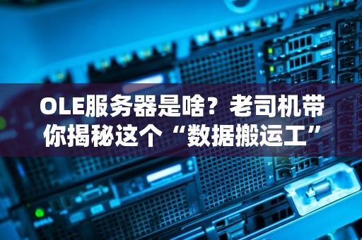 OLE服务器是啥？老司机带你揭秘这个“数据搬运工”的硬核内幕！