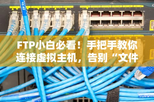 FTP小白必看！手把手教你连接虚拟主机，告别“文件传不动”的尴尬