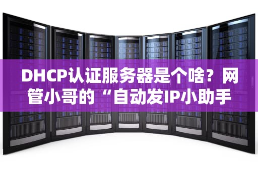 DHCP认证服务器是个啥？网管小哥的“自动发IP小助手”了解一下！