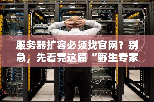 服务器扩容必须找官网？别急，先看完这篇“野生专家”的避坑指南！