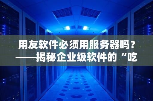 用友软件必须用服务器吗？——揭秘企业级软件的“吃配置”真相！