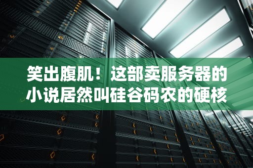 笑出腹肌！这部卖服务器的小说居然叫硅谷码农的硬核修仙？