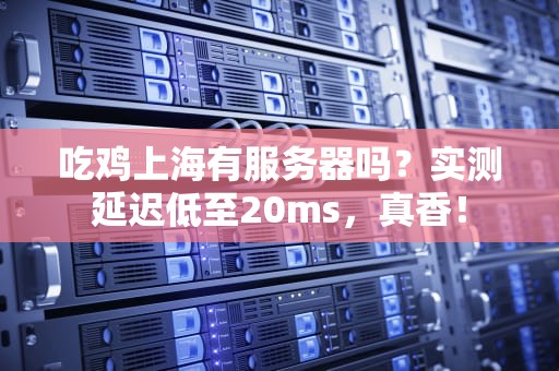 吃鸡上海有服务器吗？实测延迟低至20ms，真香！
