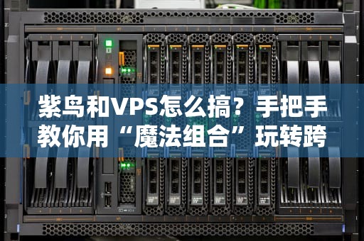 紫鸟和VPS怎么搞？手把手教你用“魔法组合”玩转跨境生意！