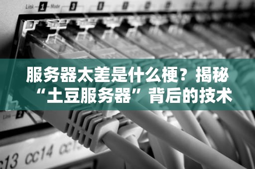 服务器太差是什么梗？揭秘“土豆服务器”背后的技术真相！