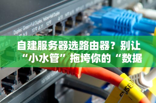 自建服务器选路由器？别让“小水管”拖垮你的“数据航母”！老司机吐血推荐这几款