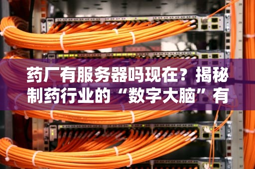 药厂有服务器吗现在？揭秘制药行业的“数字大脑”有多硬核！