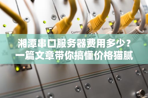 湘潭串口服务器费用多少？一篇文章带你搞懂价格猫腻！