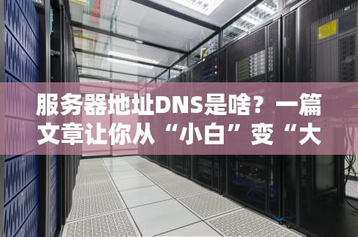 服务器地址DNS是啥？一篇文章让你从“小白”变“大神”！