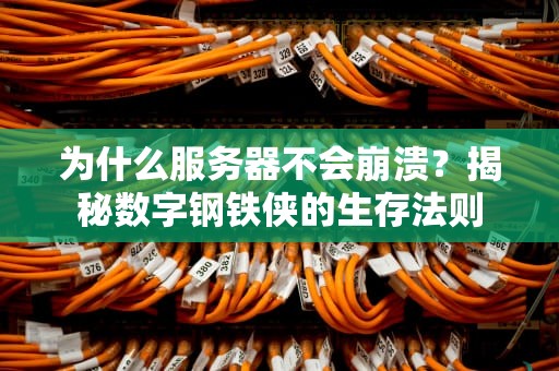 为什么服务器不会崩溃？揭秘数字钢铁侠的生存法则
