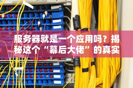 服务器就是一个应用吗？揭秘这个“幕后大佬”的真实身份！