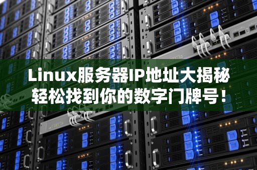 Linux服务器IP地址大揭秘轻松找到你的数字门牌号！