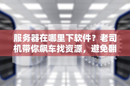 服务器在哪里下软件？老司机带你飙车找资源，避免翻车指南！