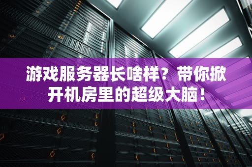 游戏服务器长啥样？带你掀开机房里的超级大脑！