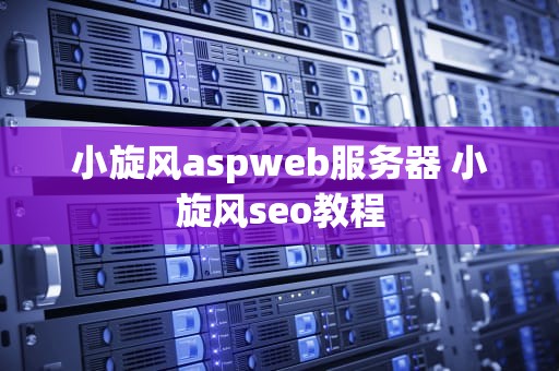 小旋风aspweb服务器 小旋风seo教程