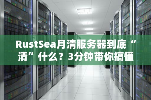 RustSea月清服务器到底“清”什么？3分钟带你搞懂服务器清理的硬核真相！