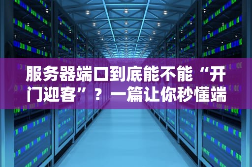 服务器端口到底能不能“开门迎客”？一篇让你秒懂端口管理的幽默指南！