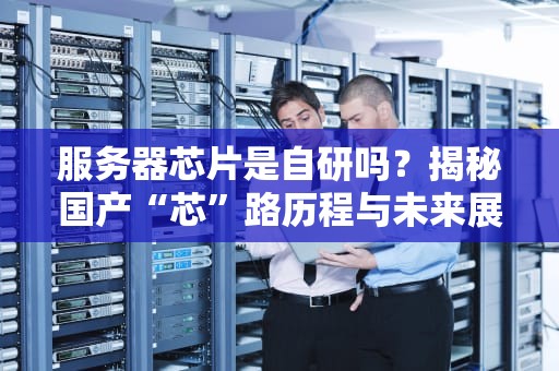 服务器芯片是自研吗？揭秘国产“芯”路历程与未来展望