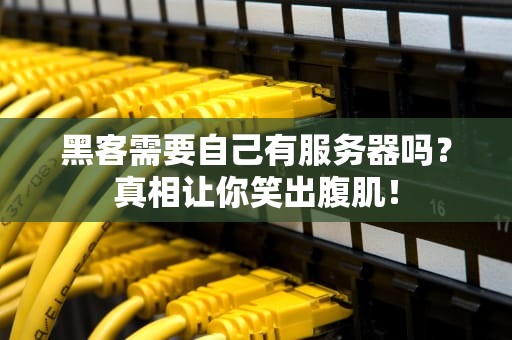 黑客需要自己有服务器吗？真相让你笑出腹肌！