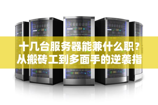 十几台服务器能兼什么职？从搬砖工到多面手的逆袭指南