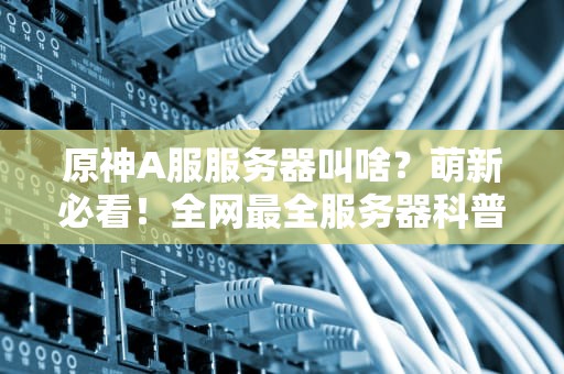 原神A服服务器叫啥？萌新必看！全网最全服务器科普+爆笑测评