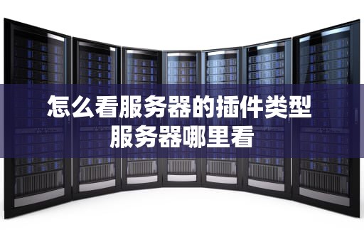 怎么看服务器的插件类型 服务器哪里看