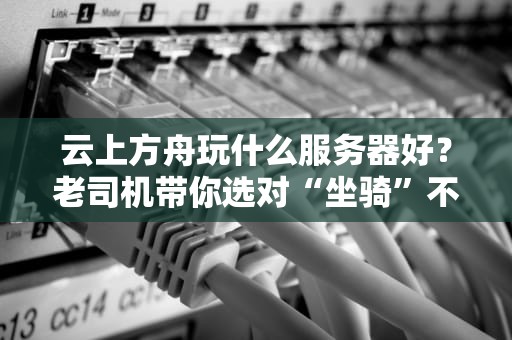 云上方舟玩什么服务器好？老司机带你选对“坐骑”不翻车！