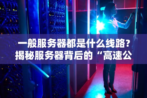 一般服务器都是什么线路？揭秘服务器背后的“高速公路”网！