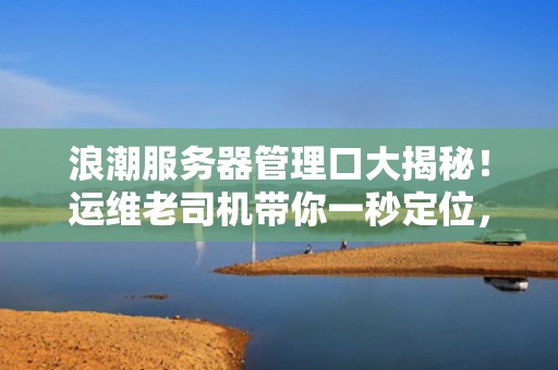 浪潮服务器管理口大揭秘！运维老司机带你一秒定位，告别“找接口”的烦恼！