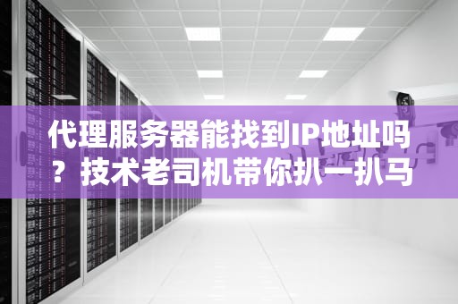 代理服务器能找到IP地址吗？技术老司机带你扒一扒马甲背后的真相！