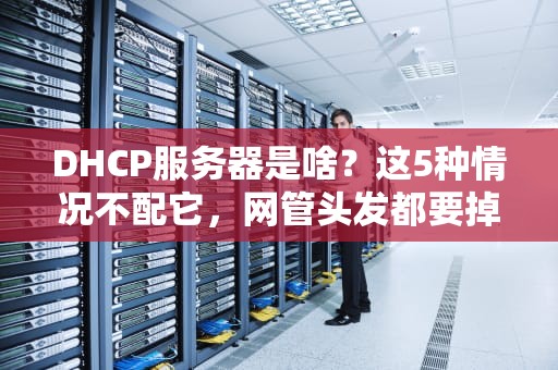DHCP服务器是啥？这5种情况不配它，网管头发都要掉光！