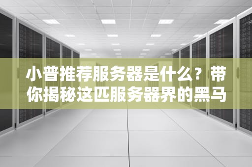 小普推荐服务器是什么？带你揭秘这匹服务器界的黑马！
